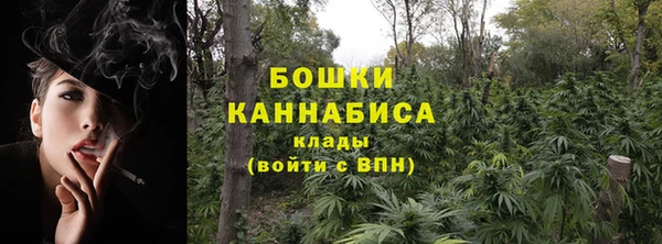 индика Иннополис