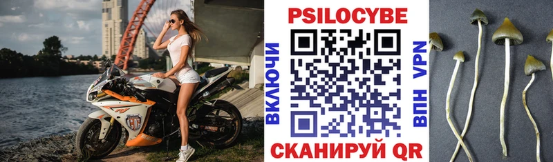 Галлюциногенные грибы Cubensis  Купить  Семёнов 